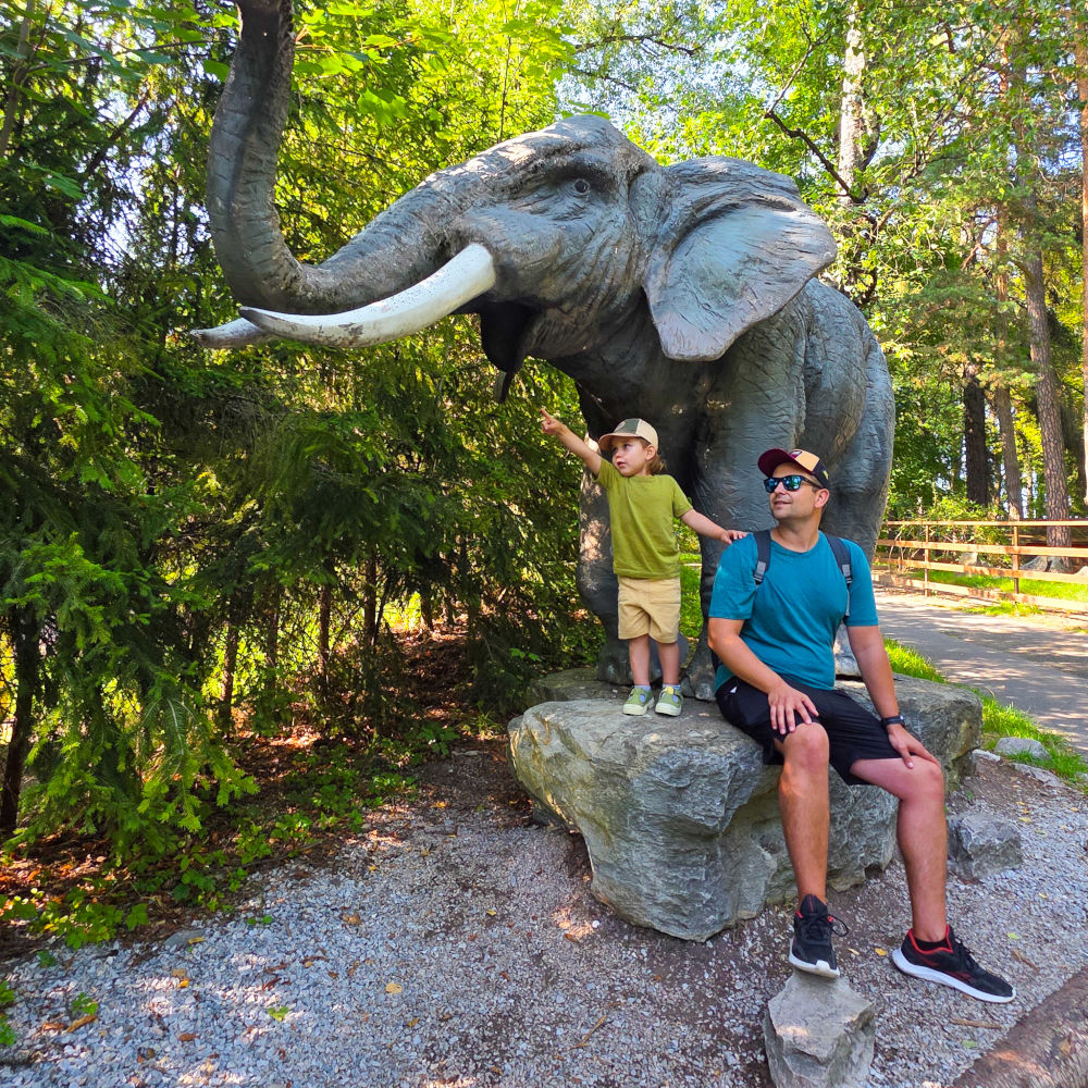 Merino tričká s tencelom